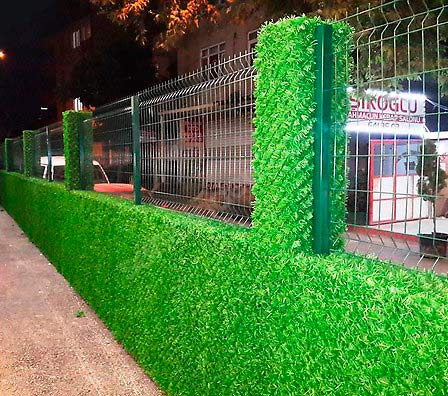 Зеленый Забор Фото